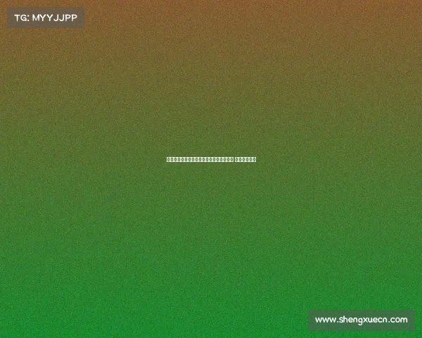 西甲升班马埃尔切正式签下本菲卡中场内托 合同期为三年 西甲升班马埃尔切正式签下本菲卡中场内托 合同期为三年