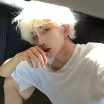 公凡梦
